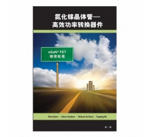 GAN FET BOOK SIMPLIFIED CHINESE VERSION attēls