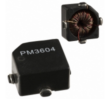 PM3604-100-B attēls