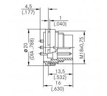 T 3262 100 attēls