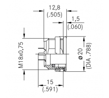 C091 61N105 110 2 attēls